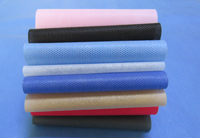 安溪涤纶（PET）无纺布是什么