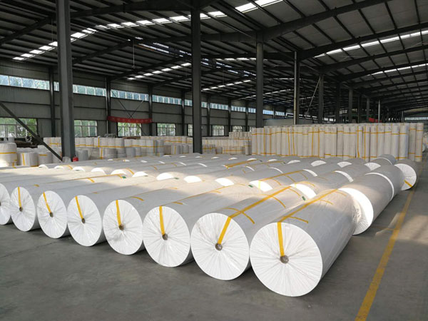 安溪狭缝式涤纶纺粘无纺布